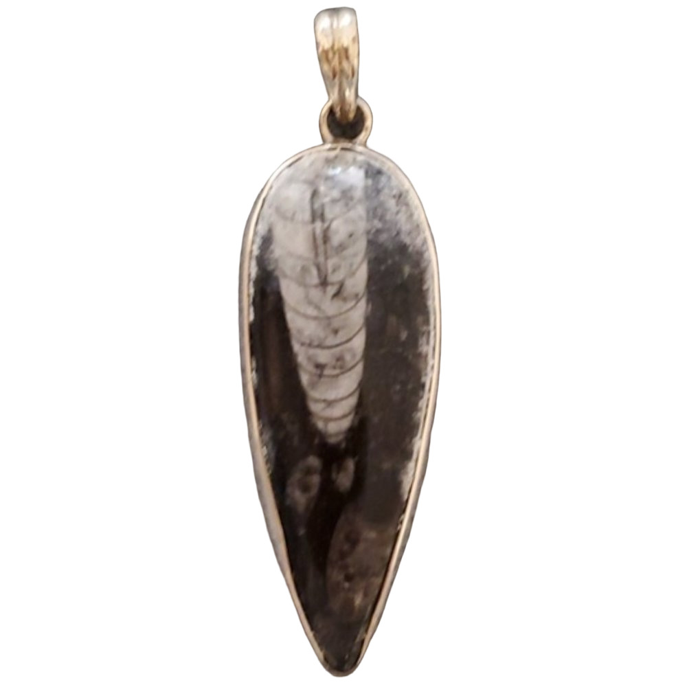 🏷 Unique Orthoceros Fossil & Sterling Silver Pendant